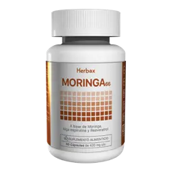MORINGA 66-01