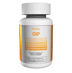 GIP 21
