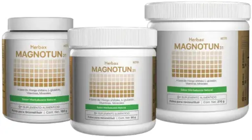 MAGNOTUN 31