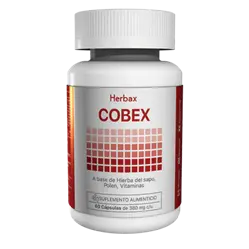 COBEX 3