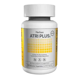 ATRI PLUS 2-03