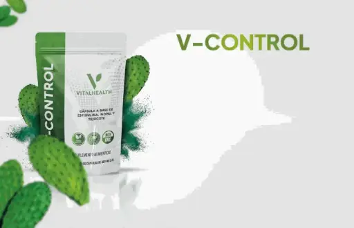 V-CONTROL